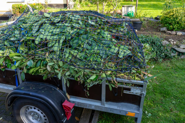 Best Moving and Downsizing Cleanouts  in Watervliet, MI